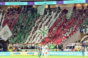 Torcida do Palmeiras em jogo contra o Coritiba (Foto: Marcos Riboli)