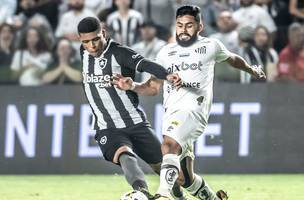 Botafogo recebe o Santos pela penúltima rodada do Brasileirão (Foto: Ivan Storti/ Santos FC)