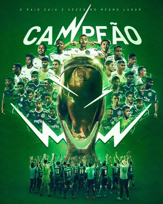 Palmeiras é campeão do Brasileirão 2023