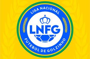 FUTEBOL DE GOLZINHO (Foto: FUTEBOL DE GOLZINHO)