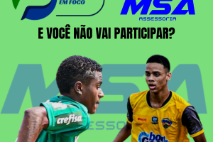 Avaliação Virtual (Foto: MSA Assessoria / Futebol em Foco)