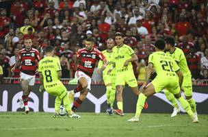 Palmeiras falha na defesa contra Flamengo, mas segue vivo na briga por título (Foto: GE)