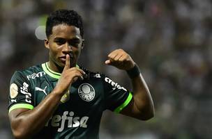 Líder em quase todos os quesitos, Palmeiras joga para confirmar 12º título brasileiro; veja números (Foto: GE)