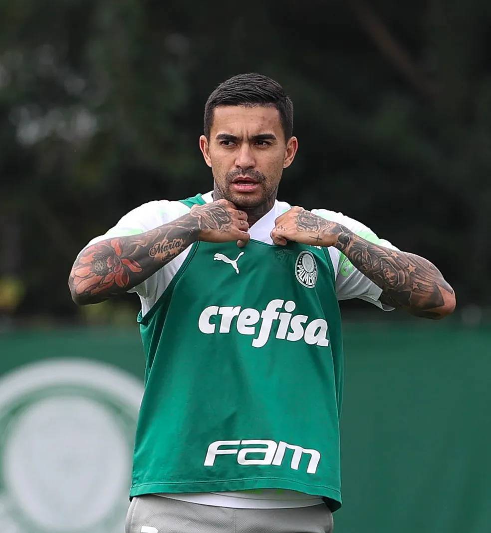 Dudu joga? Palmeiras vive "dia D" para definir se terá força máxima na Libertadores