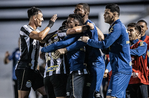 Santos defende boa fase e mira liderança contra o Brusque em dia com 4 paulistas em campo (Foto: Futebol Interior)