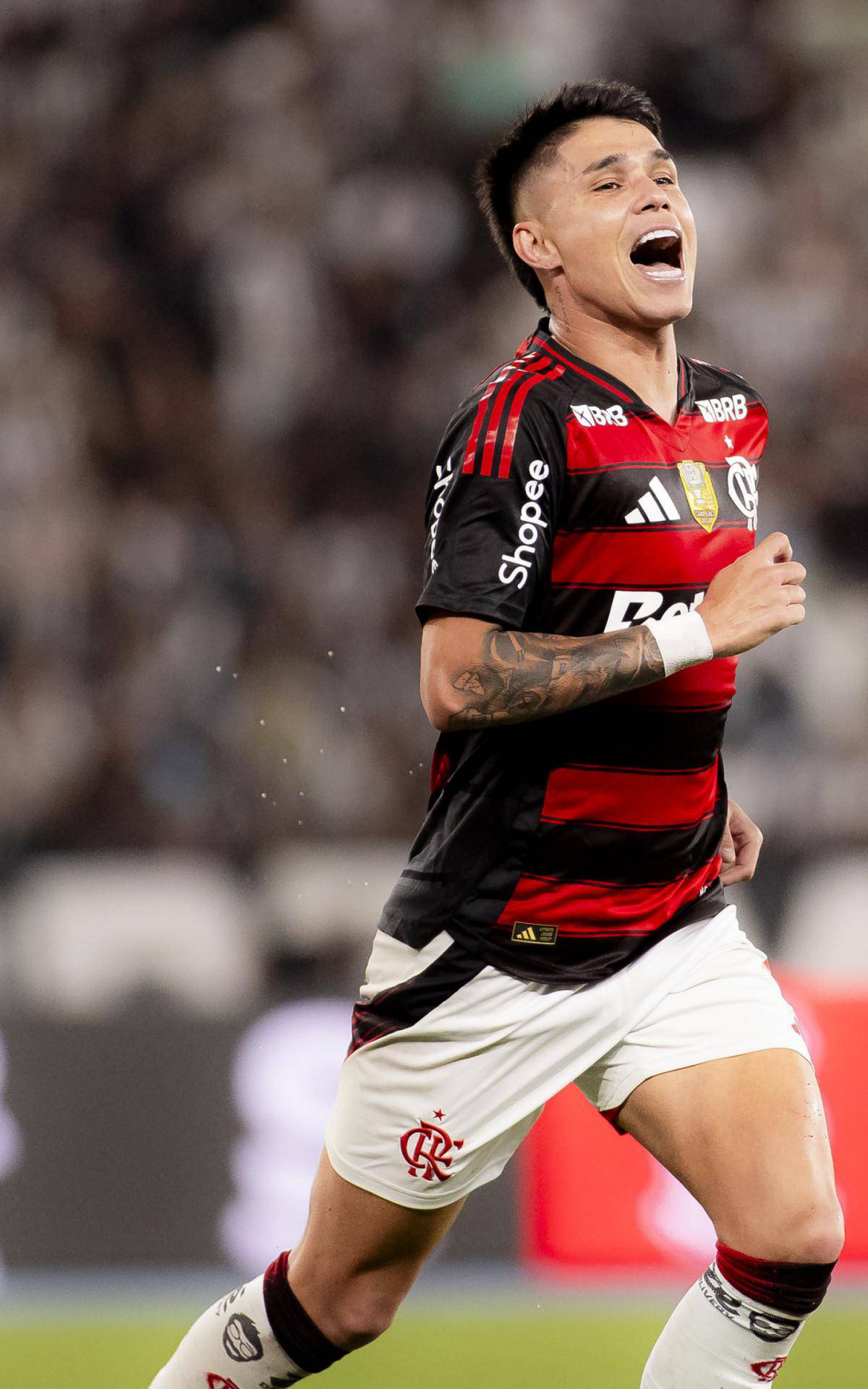 Comemoracao de Luiz Araujo