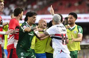 Confusao em Sao Paulo x Palmeiras (Foto: Marcos Ribolli)