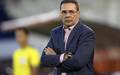 Vanderlei Luxemburgo ve o Palmeiras 'mais solido' do que o Flamengo (Foto: Juan Mabrobata / AFP