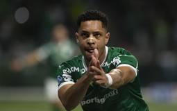 Vitor Roque brilha no Palmeiras e se destaca na artilharia