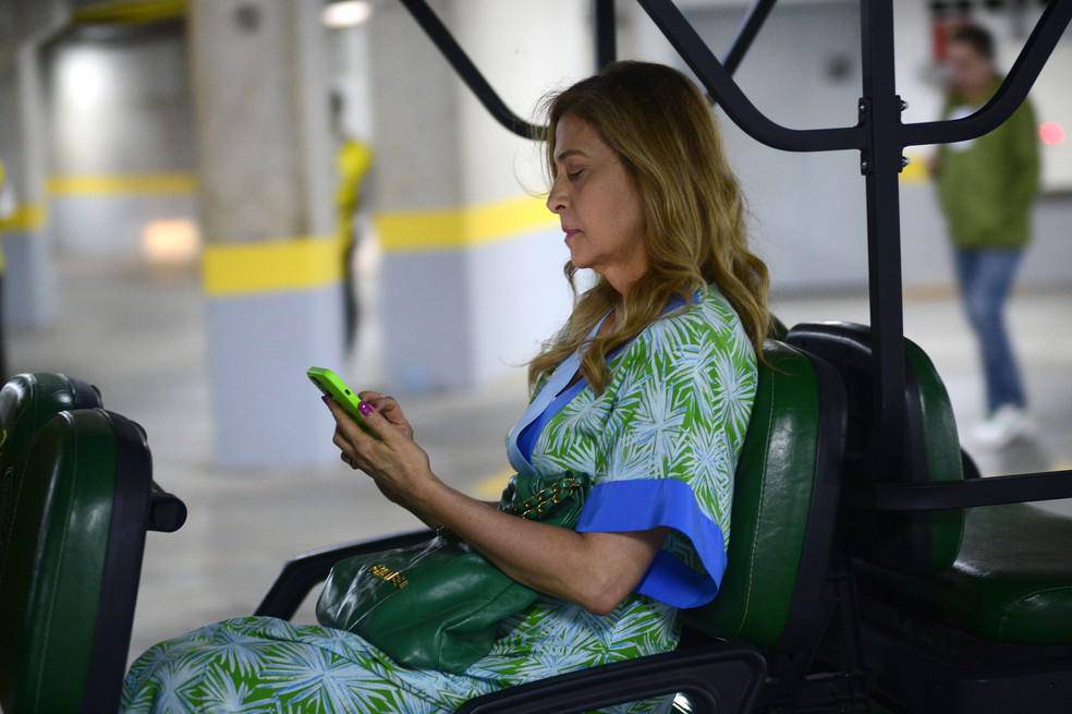 Leila Pereira antes de Palmeiras x Sao Paulo