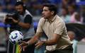 Abel em jogo do Palmeiras contra o Cruzeiro (Foto: Cesar Greco/Palmeiras