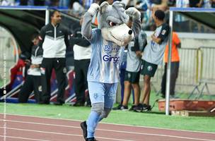 Lobo, mascote do Paysandu (Foto: Jorge Luis Totti/Paysandu)