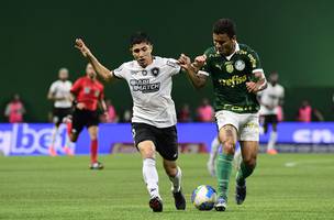 Savarino disputa a bola com Marcos Rocha em Palmeiras x Botafogo (Foto: Marcos Ribolli)
