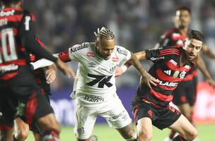 Flamengo e Santos se enfrentaram pela 14a rodada do Brasileirao (Foto: Gilvan de Souza / Flamengo)