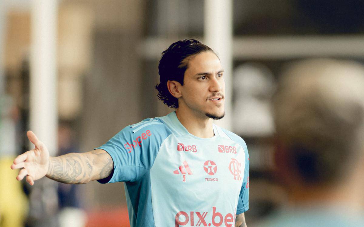 Pedro Flamengo