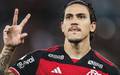 Pedro tem cinco gols em 17 jogos disputados nesta temporada (Foto: Gilvan de Souza/Flamengo