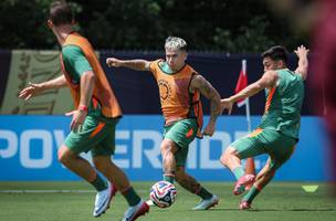 Soltedo participou de treino do Flu (Foto: Marcelo Goncalves/Fluminense FC)