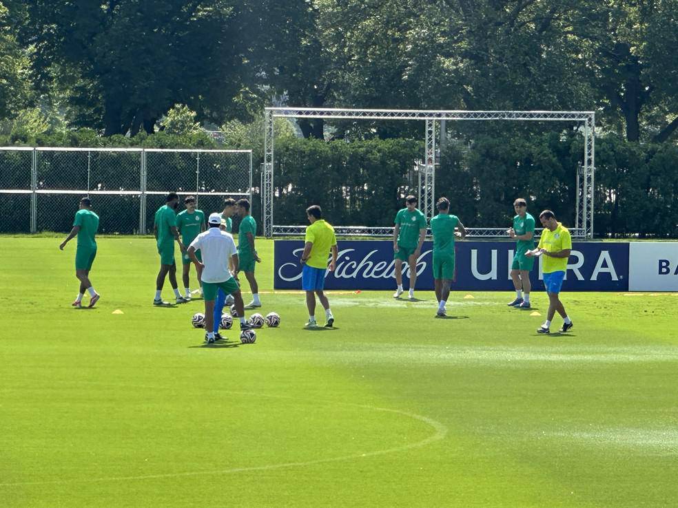 Treino do Palmeiras na Filadelfia