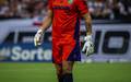 Careca, goleiro do Altos (Foto: Divulgacao