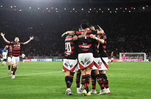 Jogadores comemoram apos gol em Flamengo x Vitoria (Foto: Alexandre Durao)