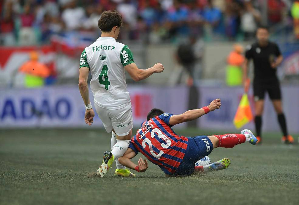 Bahia x Palmeiras