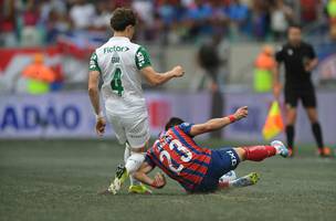 Bahia x Palmeiras (Foto: Jhony Pinho/AGIF)