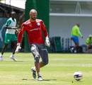 Palmeiras avalia negociação de Weverton com o Grêmio