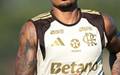 Allan e jogador do Flamengo (Foto: Gilvan de Souza / Flamengo