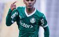 Palmeiras blinda Eduardo Conceicao, joia de 16 anos, e recusa propostas de clubes da Inglaterra (Foto: Arquivo Pessoal