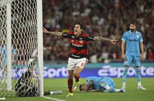 Pedro comemora gol do Flamengo contra o Santos (Foto: Andre Durao / ge)