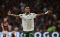Flamengo x Palmeiras gol Allan. (Foto: Andre Durao