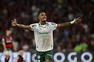 Flamengo x Palmeiras gol Allan. (Foto: Andre Durao)