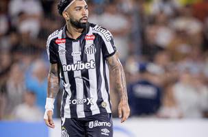 Gabigol nao ficou no banco de reservas apos ser substituido (Foto: Raul Baretta/ Santos FC)