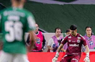 Gabriel Brazao no jogo entre Palmeiras e Santos (Foto: Raul Baretta/ Santos FC)