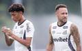 Neymar e Robinho Jr. (Foto: Raul Baretta / Santos FC