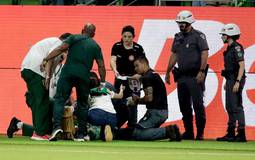 Palmeiras é denunciado no STJD por invasão de campo