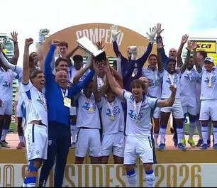 Avaí conquista Copa Sul-Sudeste nos pênaltis