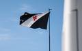 Bandeira do Vasco (Foto: Leandro Amorim | Vasco da Gama