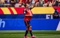 Espanha derrotou a Austria e esta nas oitavas de final (Foto: Divulgacao / Espanha