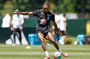 Raphinha se lesionou na Copa do Mundo (Foto: Nelson Terme / CBF)